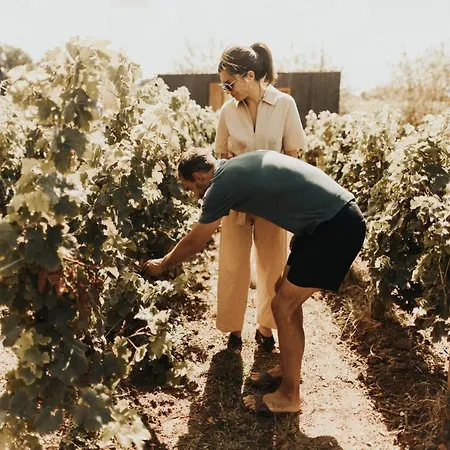 펜션 Parcel Tiny House I Emilion