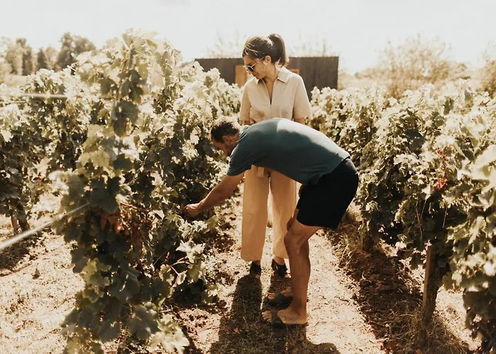 Nyaraló Parcel Tiny House I Emilion