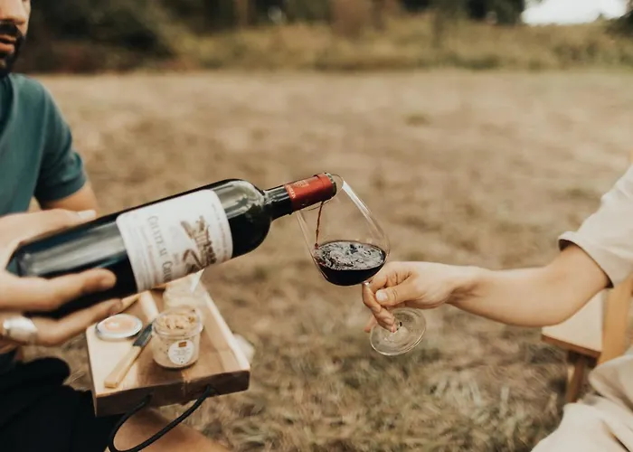 Parcel Tiny House I Emilion *